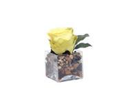 Vickerman 320365 Yellow Rose Glass Square F12139 Home Office Floral Arrangements