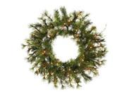 Vickerman 309836 24 Mixed Country 50 Warm White Italian LED Lights Christmas Wreath A801825LED