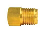 AGS A79BLF25 BRASS ADAPTER FEMALE 7 1