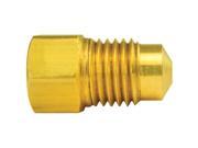 AGS A79BLF34 BRASS ADAPTER FEMALE 3 8
