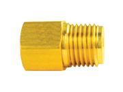 AGS A79BLF21 BRASS ADAPTER FEMALE 1 2
