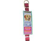 5 8 X 10 Red Adjustable Pet Collar ASPEN PET Collars 15706 723503157063