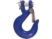 1 4 Clevis Slip Hook W Latch In Blue National Chain N265 470 038613265479