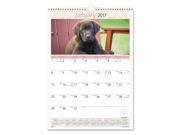 Puppies Monthly Wall Calendar 12 x 17 2017