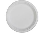 Compostable Plates 10 500 CT White
