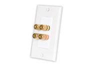 Acoustic Audio AAWP2 Banana Post 2 Speaker Home Audio Wall Plate Wire Jack