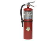 Fire Extinguisher 10 lb. Capacity Dry Chemical 11340 Buckeye