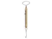 CHATILLON SONS IN 012 Mechanical Hanging Scale 12 1 2 In. L