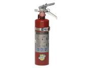 Fire Extinguisher 2.5 lb. Capacity Dry Chemical 13315 Buckeye