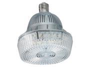 LUMAPRO 22PV19 LED Retrofit Lamp E39 100W 5700K