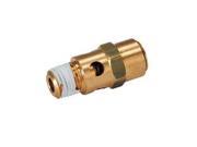 JOHNSON CONTROLS A 4000 144 Relief Valve 1 4 in. 0 to 25 psi Brass