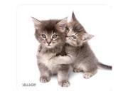 ALLSOP 30184 NatureSmart Mouse Pad Kittens