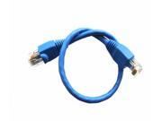 1Ft Cat5E Cable Blue