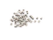 AC 250V 12A Quick Blow Acting Type Glass Tube Fuses 5mm x 20mm 30 Pcs