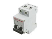 6000A Breaking Capacity Rated Current 10A 2 Pole MCB Air Circuit Breaker