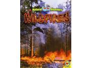 Wildfires Natural Disasters