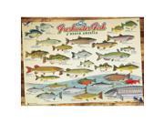 Freshwater Fish of North America 1000 Piece Puzzle by Outset Media