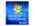Microsoft Windows Home Server 32 Bit 1 Pack - image 1