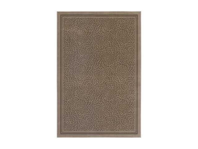 Shaw Living Woven Expressions Gold Zoe Area Rug Sand 3' 11" x 5' 3" 3VA6420100