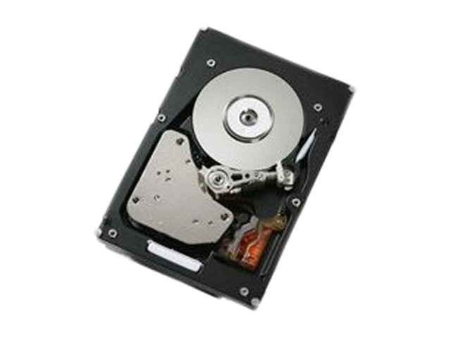 IBM 300 GB 2.5" Internal Hard Drive