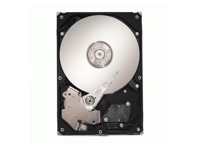 Maxtor STM310005N1AAAS RK 1TB 7200 RPM SATA 3.0Gb/s 3.5" Hard Drive Retail