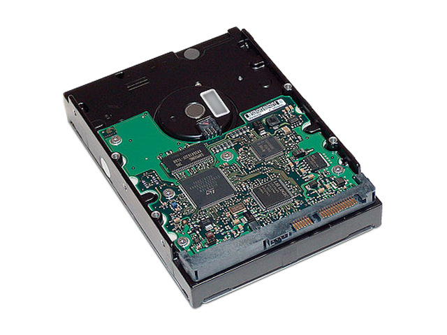 HP Raptor EW222UT 160GB 10000 RPM SATA 3.0Gb/s 3.5" Internal Hard Drive