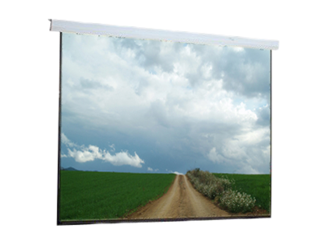 DRAPER 116022 133" 16:9 Targa Motorized Projection Screen