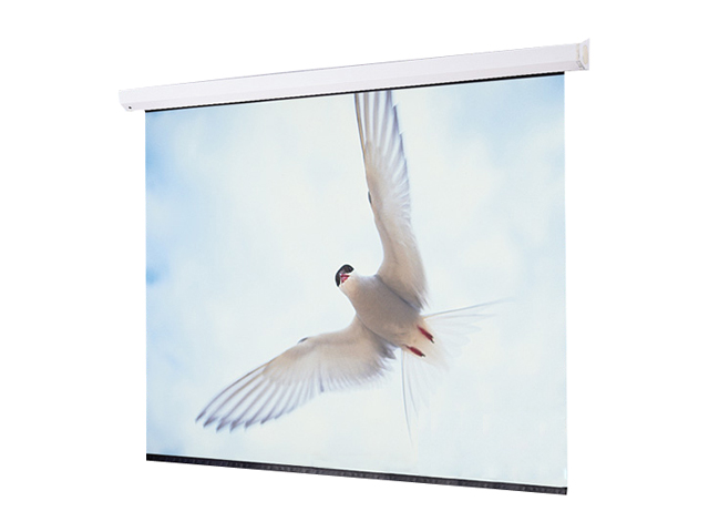   116015 Targa Motorized Projection Screen   60 x 80   8/100 Diagonal