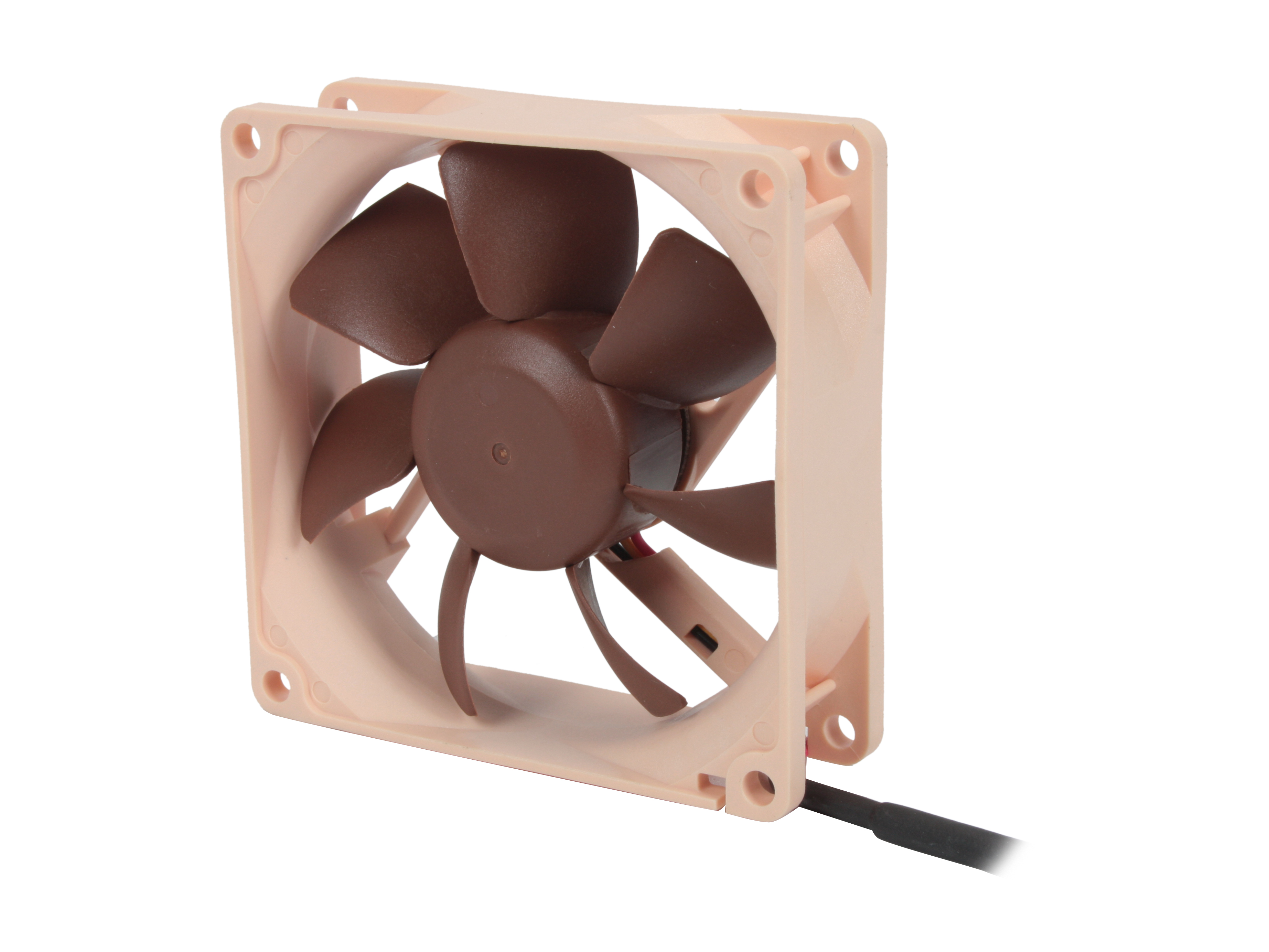 Noctua NF R8 1800  Case Fan