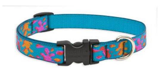 Lupine 93804 .75 in. Wet Paint! 15 in.   25 in. Adjustable Dog Collar