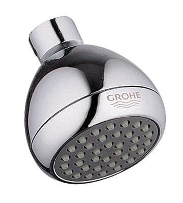 Grohe America 28 342 000 2.75 in. Relexa Single Spray Showerhead in Starlight Chrome