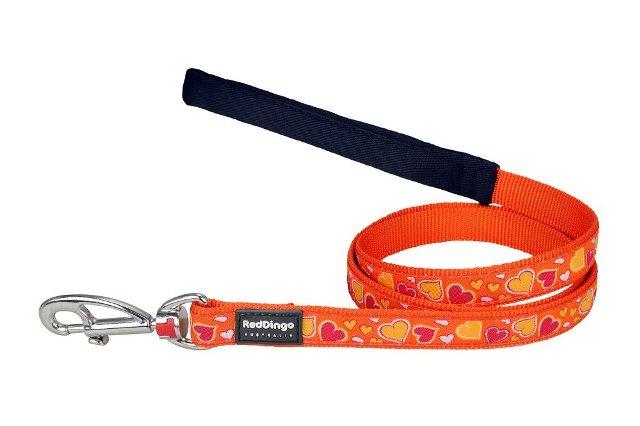 Red Dingo L6 BZ OR ME Dog Lead Design Breezy Love Orange, Medium