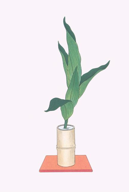 Buy Enlarge 0 587 26586 8P20x30 Haran   Five Aspidistra Leaves in Bamboo vase  Paper Size P20x30