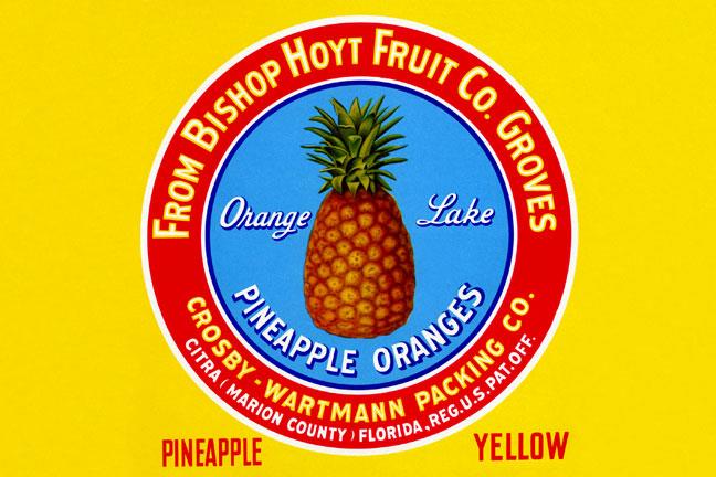 Buy Enlarge 0 587 21979 3P12x18 Orange Lake Pineapple Oranges  Paper Size P12x18