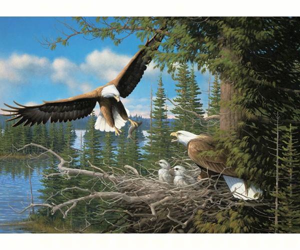 Outset Media Games OM51737 Nesting Eagles 1000 piece Puzzle