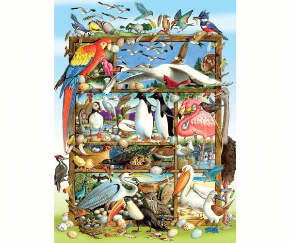 Outset Media Games OM54581 Birds of the World Family 400 piece Puzzle