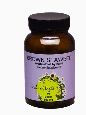 Living Foods Brown Seaweed   Herbs of Light   90   Capsule