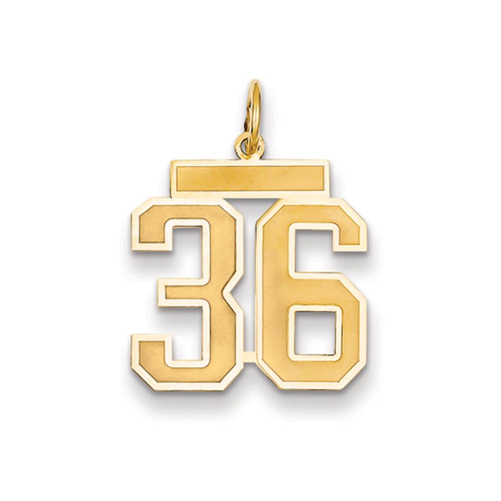 The Jersey Medium Jersey Style Number 36 Pendant in 14K Yellow Gold