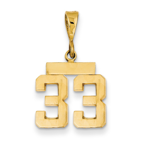 14k Yellow Gold Small Polished Number 33 Charm Pendant