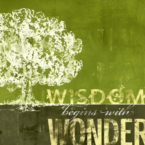 Wisdom Begins with Wonder Poster Print by CJ Elliott (24 x 24)