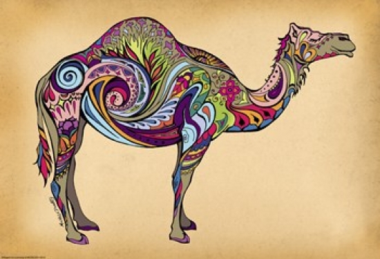 Camel Poster Print by Green Girl Canvas (19 x 13)