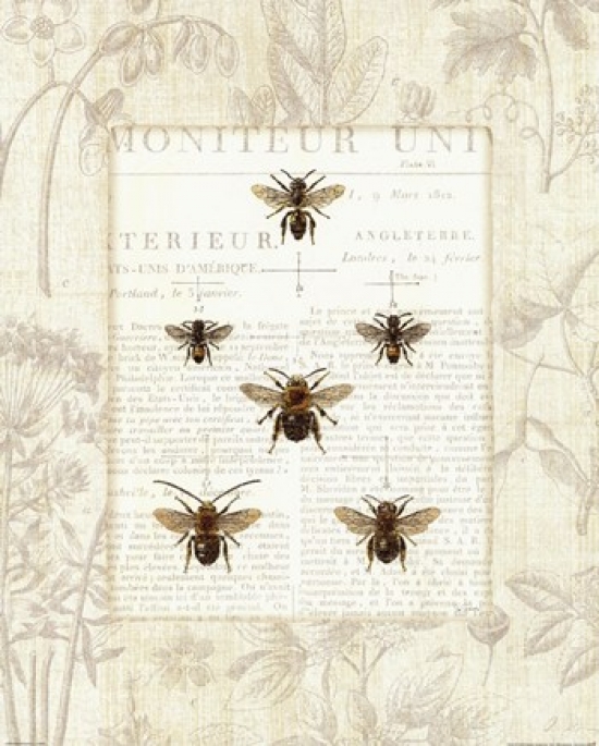 Bee Botanical Poster Print by Sue Schlabach (16 x 20)