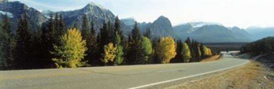 Road Alberta Canada Poster Print by Panoramic Images (36 x 12)