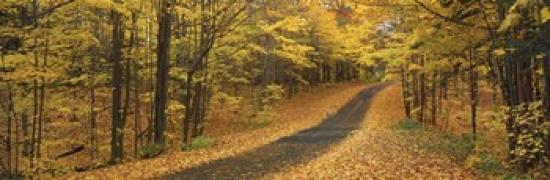 Autumn Road, Emery Park, New York State, USA Poster Print by Panoramic Images (36 x 12)