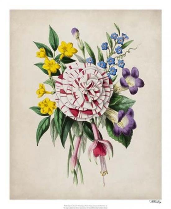 Spring Posy IV Poster Print by Winslow Peachy (18 x 22)