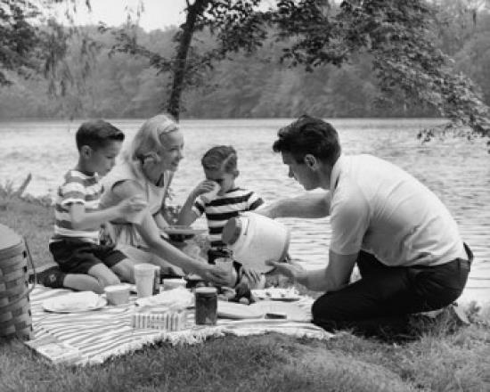 Family with two sons having picnic at lakeshore Poster Print (18 x 24)