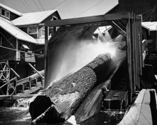 Log being washed in a sawmill, California, USA Poster Print (18 x 24)