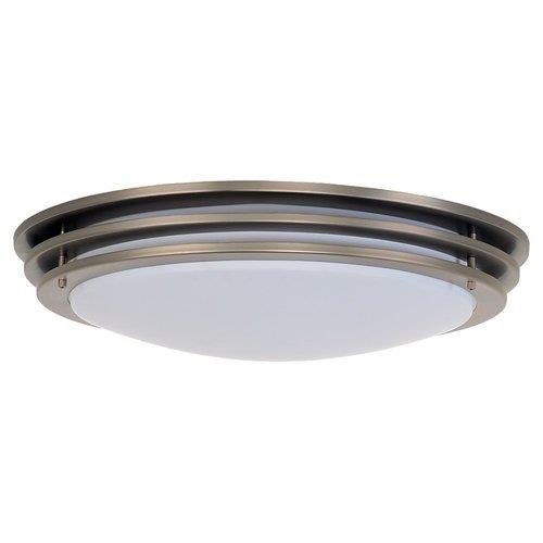 Sea Gull Lighting Fluorescent Two Light Close to Ceiling   59250BLE 962