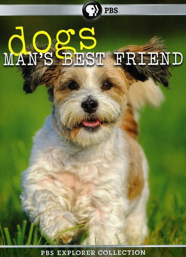 Dogs: Man's Best Friend