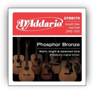 D'Addario EPBB170 Phosphor Bronze Acoustic Bass Strings, Long Scale, 45 100